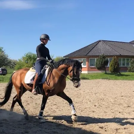 Peternhof - Private Reitanlage & *